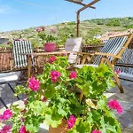 Amorani * Batsi (Andros)